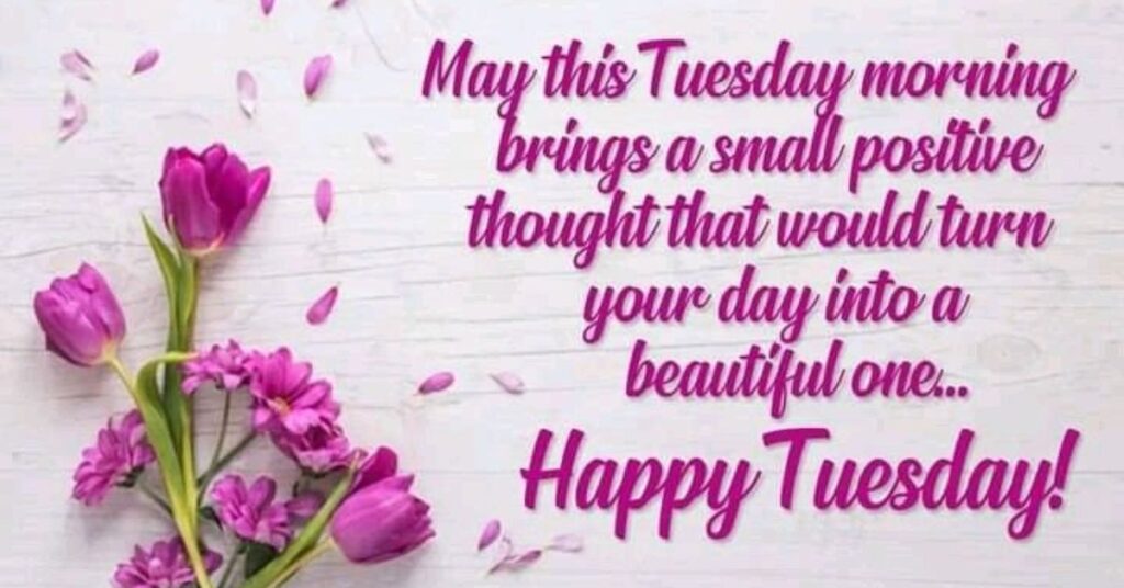 Tuesday Morning Quotes